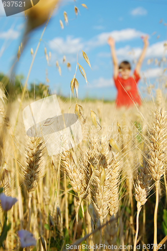 Image of summer field