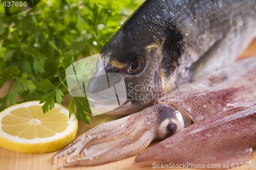 Image of Seafood