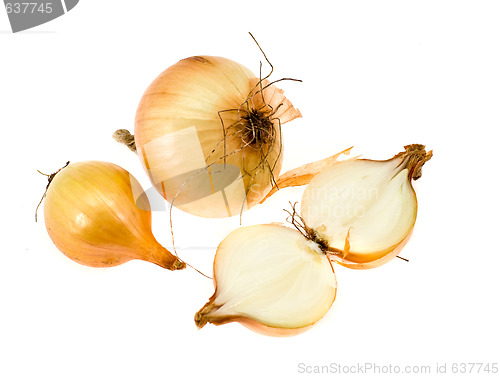 Image of onion