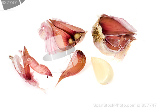 Image of garlic