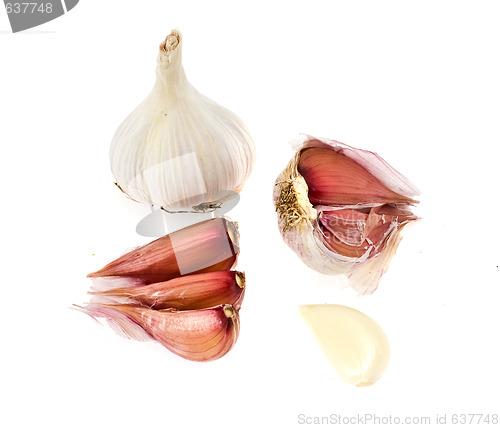 Image of garlic