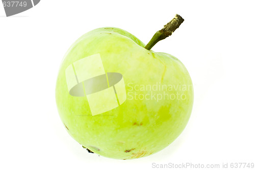 Image of Green apple