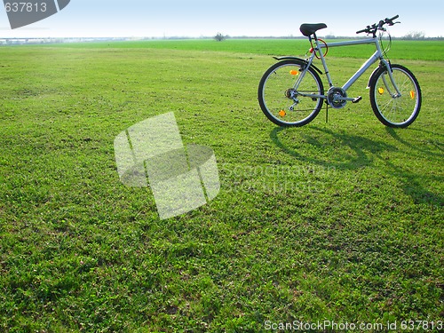 Image of Bicycle In green 3