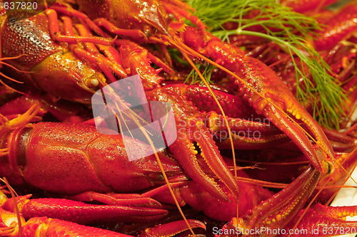 Image of Crayfish dinner