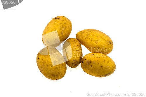 Image of Potato fruits on a white background