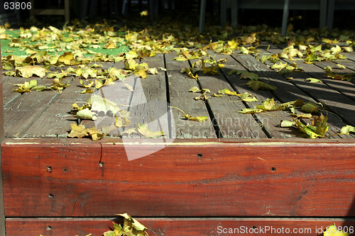 Image of Close up on the Leaves and the Deck