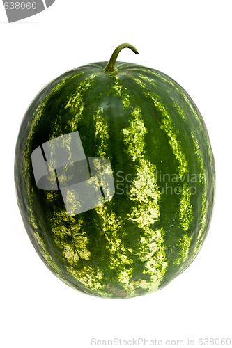 Image of Water-melon