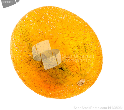 Image of Melon