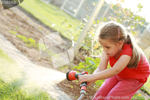 Image of Watering