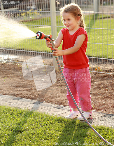 Image of Watering