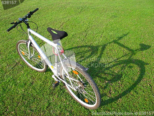 Image of Bicycle in green 5