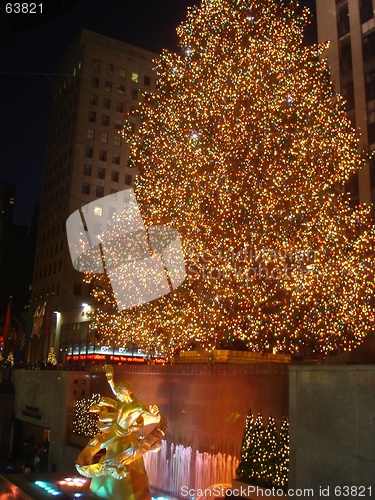 Image of Christmas Tree