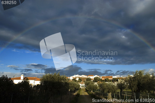 Image of Rainbow 