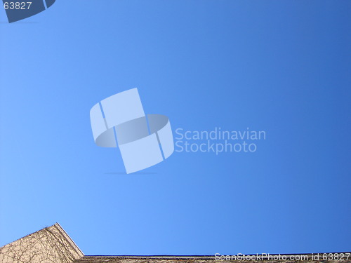 Image of low branch wall
