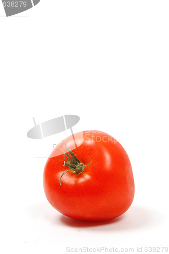 Image of Isolated tomato