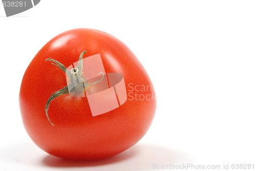 Image of Isolated tomato