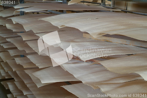 Image of Wood veneer for plywood production