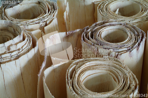 Image of Rolls of wood veneer for plywood production