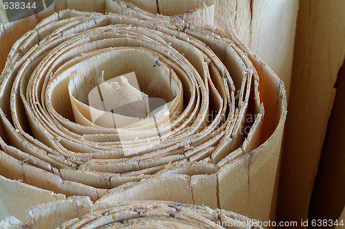 Image of Roll of wood veneer for plywood production
