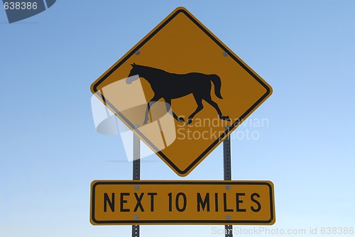 Image of Horse Crossing Next 10 Miles