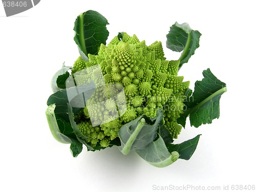 Image of Romanesco