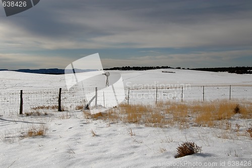 Image of Snowy field