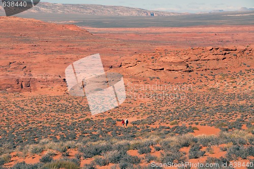 Image of Desert walk