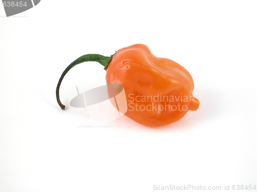 Image of Habanero