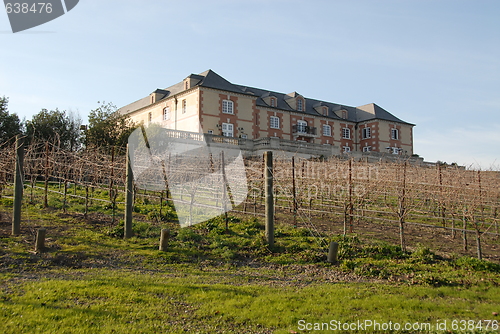 Image of Vineyard