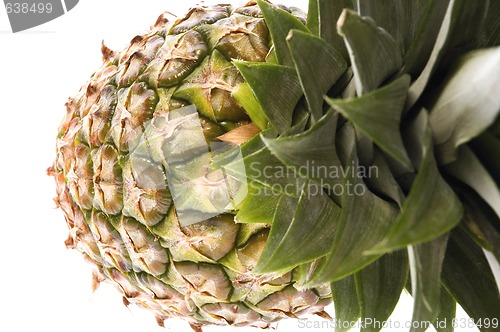 Image of pineapple