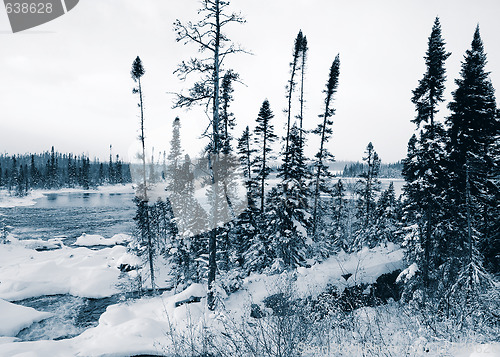 Image of Winter Blues