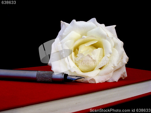 Image of book