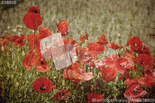 Image of Retro Poppies