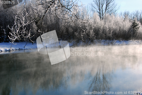 Image of Winter Landscape