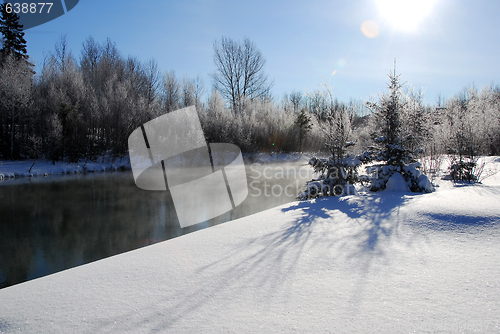 Image of Winter Landscape