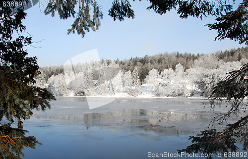 Image of Winter wonderland