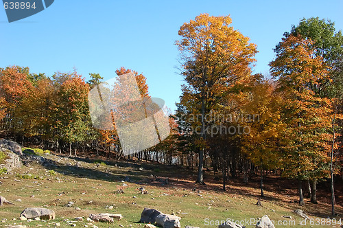 Image of Autumn's landscape