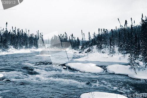 Image of Winter Blues