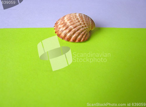 Image of Blank paper with sea shell