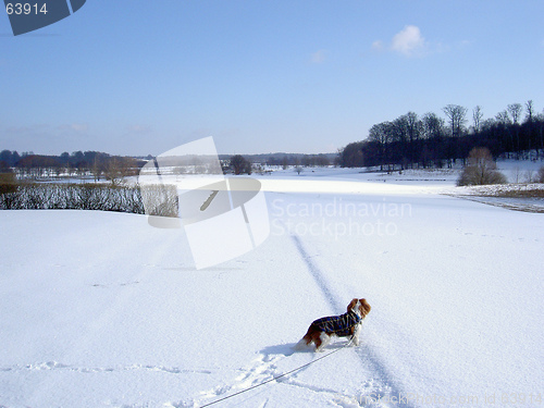 Image of golf at the winter