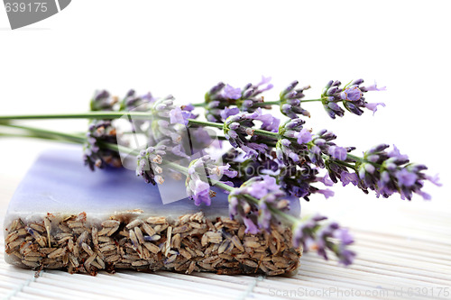 Image of lavender glycerin soap