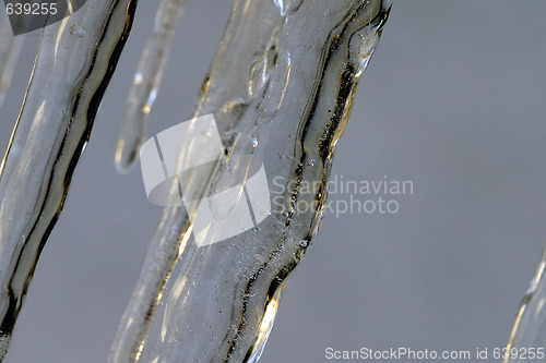 Image of Ice 