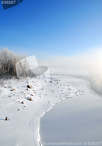 Image of Winter wonderland