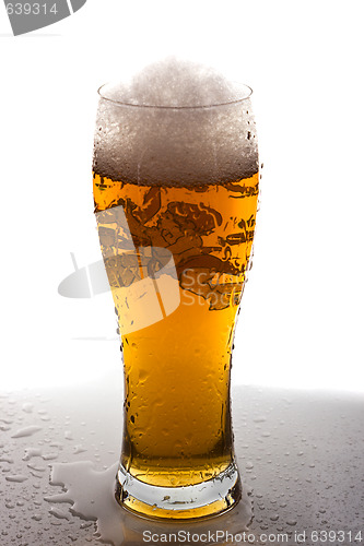 Image of Light beer in tall glass