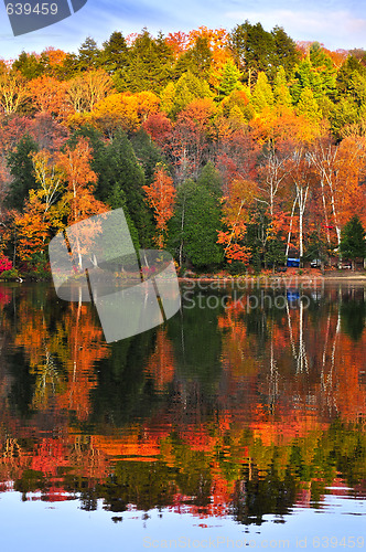 Image of Fall forest reflections