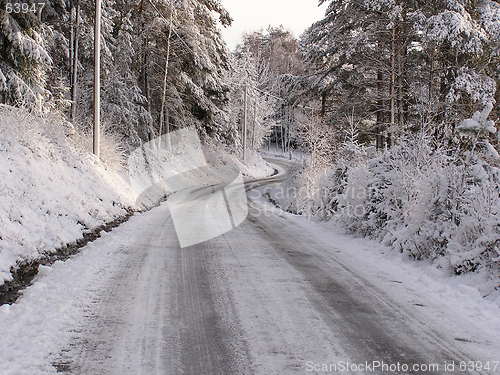 Image of Winter land