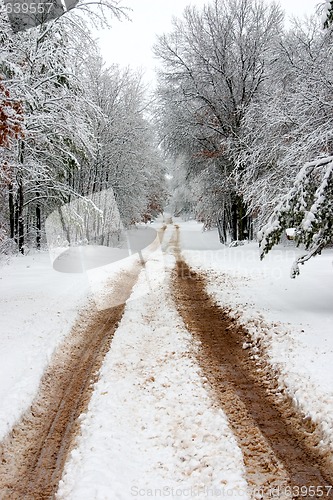 Image of Long Snowy Road