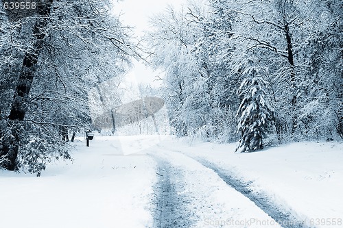 Image of Snowy Road