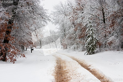 Image of Snowy Road