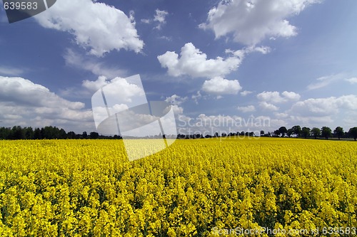 Image of spring landscape